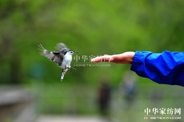 ��(d��o)ُ��Ϋ@��͵����θУ�