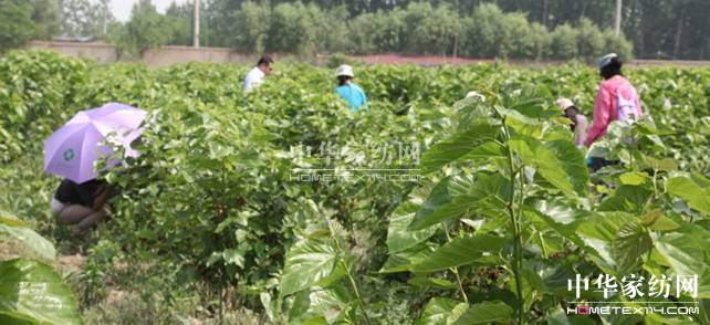 ���ýz�I��ɣ�ز�ժ���A�M��Ļ