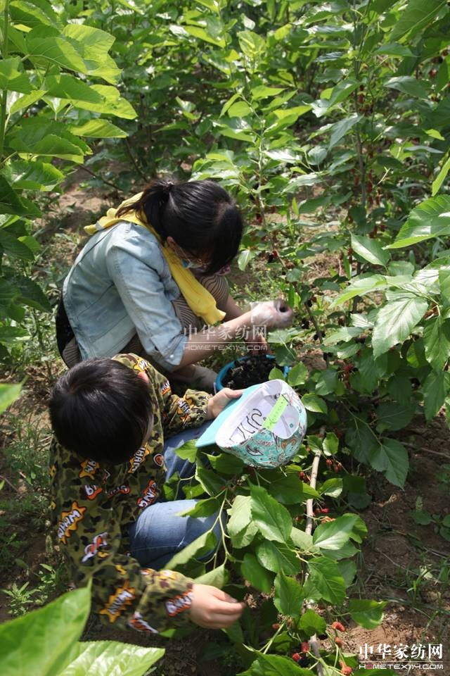 ���ýz�I��ɣ�ز�ժ���A�M��Ļ