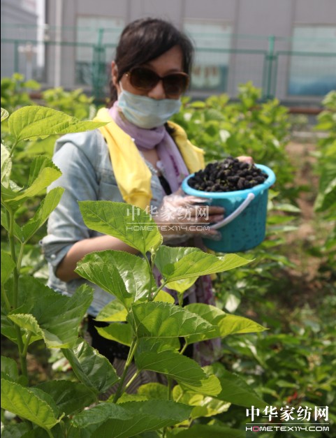 ���ýz�I��ɣ�ز�ժ���A�M��Ļ