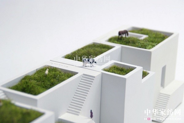 微型植物景觀打造一個小世界