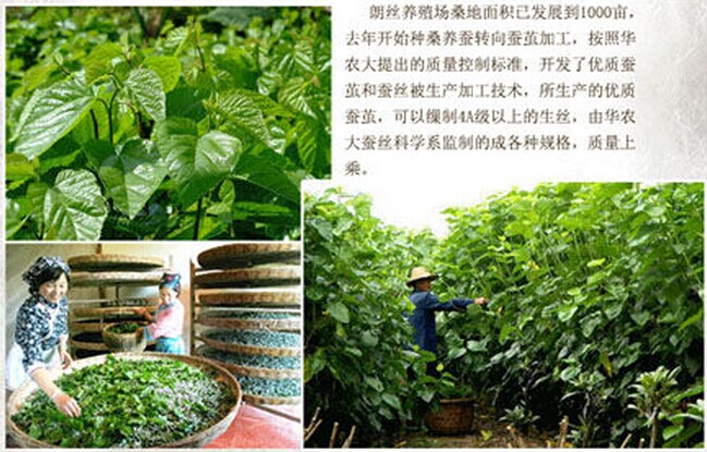 �ʽz�Ҽ����Q�z���ИI�lչ������I����