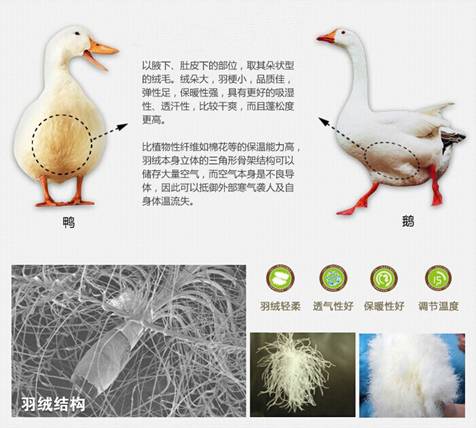 歐派家紡:反季特賣(mài),怎樣選購(gòu)正品的羽絨被