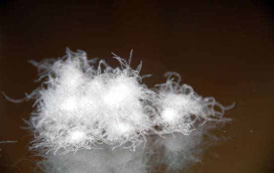 �W�ɼҼ����������u�������xُ��Ʒ����q��