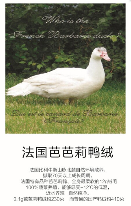 Ʒ�|58��������Ҽ��cȫ��ۼ���һͬ����