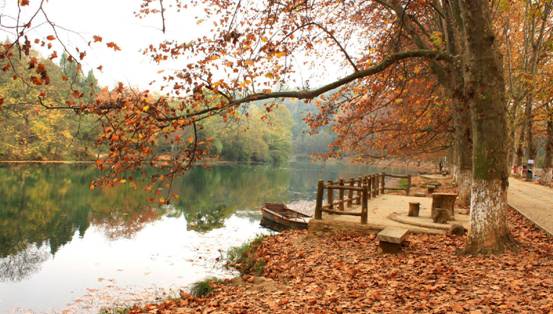 ɼɼ�Ҽ����@�����죬�c�ゃ��һ��