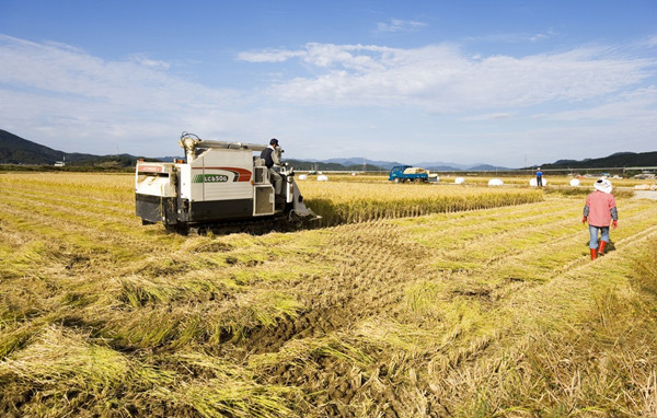 京東下鄉(xiāng)接地氣 發(fā)展農(nóng)村市場