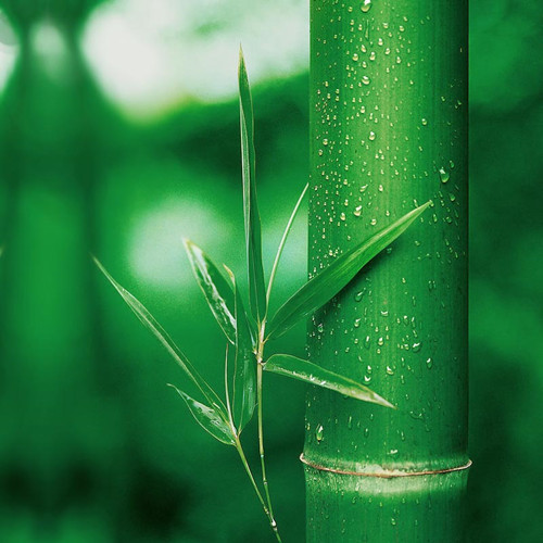 �����J(r��n)�R(sh��)�h(hu��n)��ԭ�ϡ������w�S