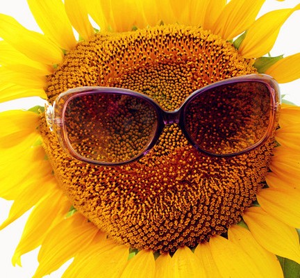 ������ι����ģ����c�����܌W(xu��)�ǻ�