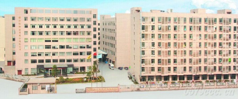 紅雨醫藥——參加義博會帶來新思路