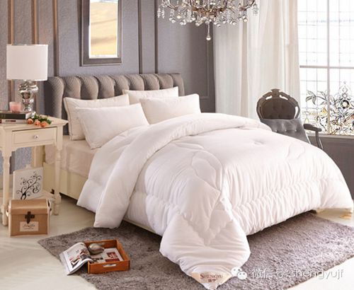 ʢ��Ҽ��ﶬ��Ʒ���������ۡ���оϵ��