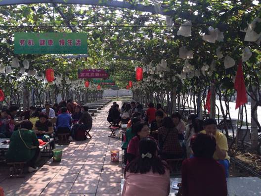 熱烈祝賀歐派家紡平度店金秋游活動圓滿結(jié)束!