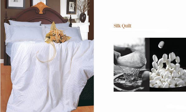 路邊蠶絲被制作不要信 蠶絲被團(tuán)購來瑞帛