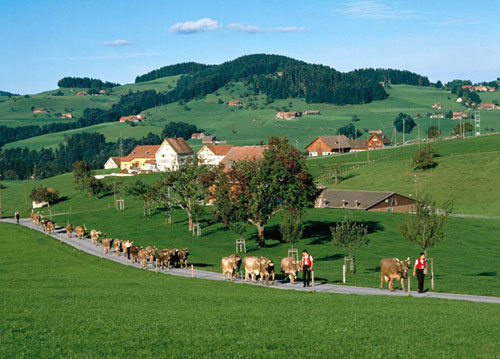 �ձ��ȴ�����ˇ���l(xi��ng)����@����Ȼ�L(f��ng)��