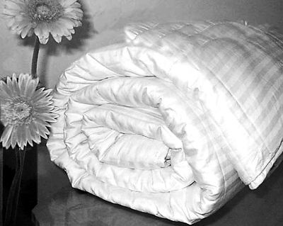 �Q�z�����c�ٵı�e