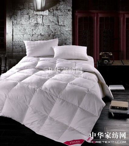 圣富萊:我如陽光用芯溫暖