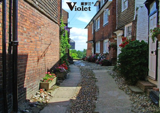 ���_�m���m�qϵ�У����ԚW�޵ı�ů�w�(y��n)