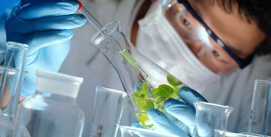 紫羅蘭生機家紡:睡眠中的空氣維生素-負氧離子