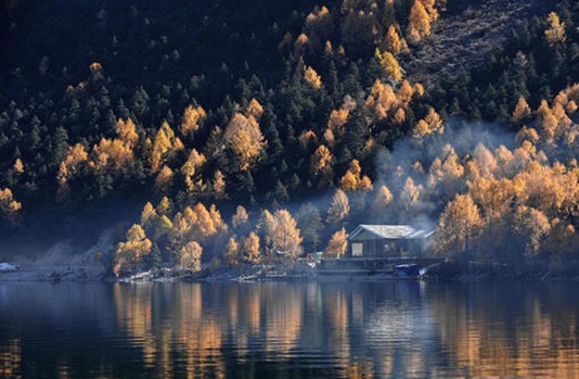 紫羅蘭生機家紡:睡眠中的空氣維生素-負氧離子