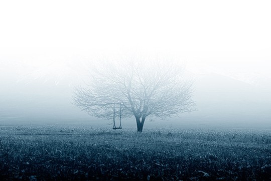 紫羅蘭生機家紡:睡眠中的空氣維生素-負氧離子