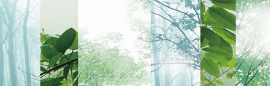 ���_�m���C�Ҽ���߀ԭ���Rԭ���B(t��i)ƽ��h(hu��n)��