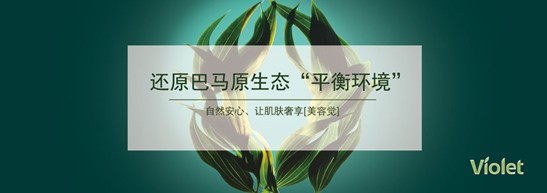 ����˯�ߣ�ه��Violet���C�Ҽ�