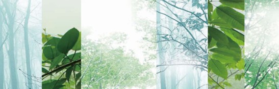 ����˯�ߣ�ه��Violet���C�Ҽ�