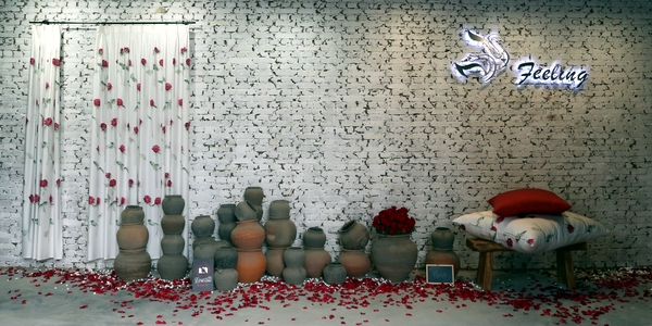 初綻—遇見新我----FEELING品牌發布會于北京吉里國際藝術園區舉行