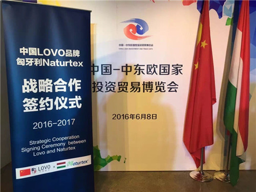 �Ж|�W���[������_Ļ�_�RLOVO���Ƞ�����������q��