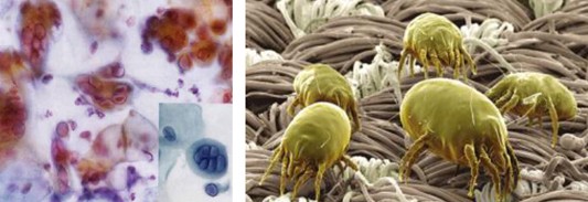 ���_�m�Ҽ�������������������360�㝍����˯