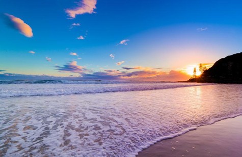 紫羅蘭:融匯深海靈氣,擁抱自然之美