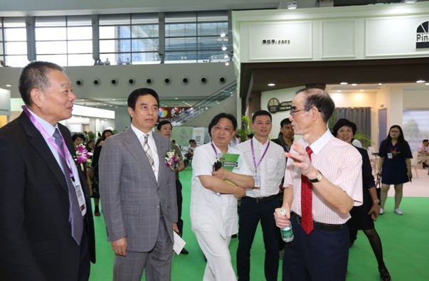 崢嶸二十載“裝飾”家居最美芳華