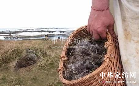 ���⣡27�f�I�²���Ҽ�"����"��"����"��