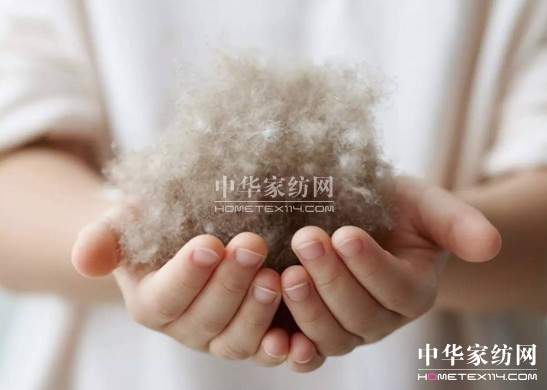 ������27�f�I�²���Ҽ�"����"��"����"��