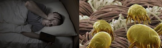 寶縵萊科,開啟生態智能家居4.0時代