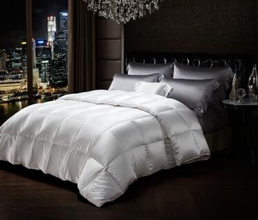 博洋家紡全面升級的速度與激情