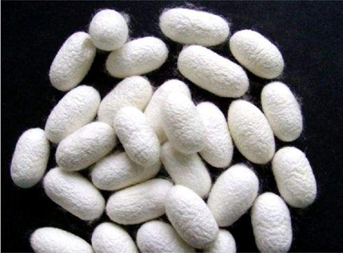 ͬ���ǽz�����W�_���{ʲô���f�������R����