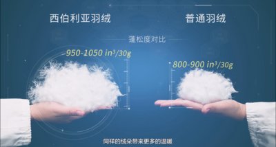 ˮ�ǼҼ����������Z�q��--��(l��i)�ԘO���؅^(q��)�ı�ů����