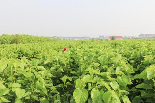 �X�ʽz�I�@��2017�Ї��Ҽ��Ӽ��\��Ʒ�ƪ������I��������ϵ�y�x���ЌmԷ�Q�z��