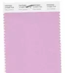 【干貨】香港本色2018流行色發布