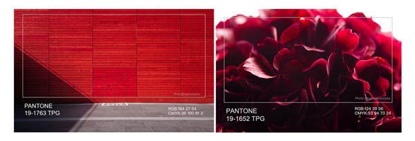 中國流行色協(xié)會發(fā)布本季家居流行色——國色·天香紅