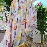 �������w�ı�