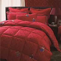 �����F�ӳ����w�S��