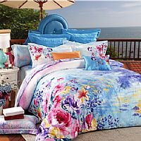 �����ɾ�