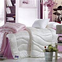 2020-���w�S������