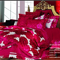 ���Ļ��@ SBY02004��10