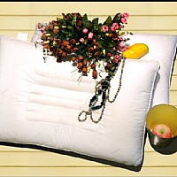 ��������ţ���w�S�B���о