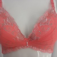 ���w�S����