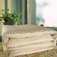 天然蠶絲被段條內膽