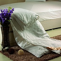 ɣ�Q�z����FCSB-004��